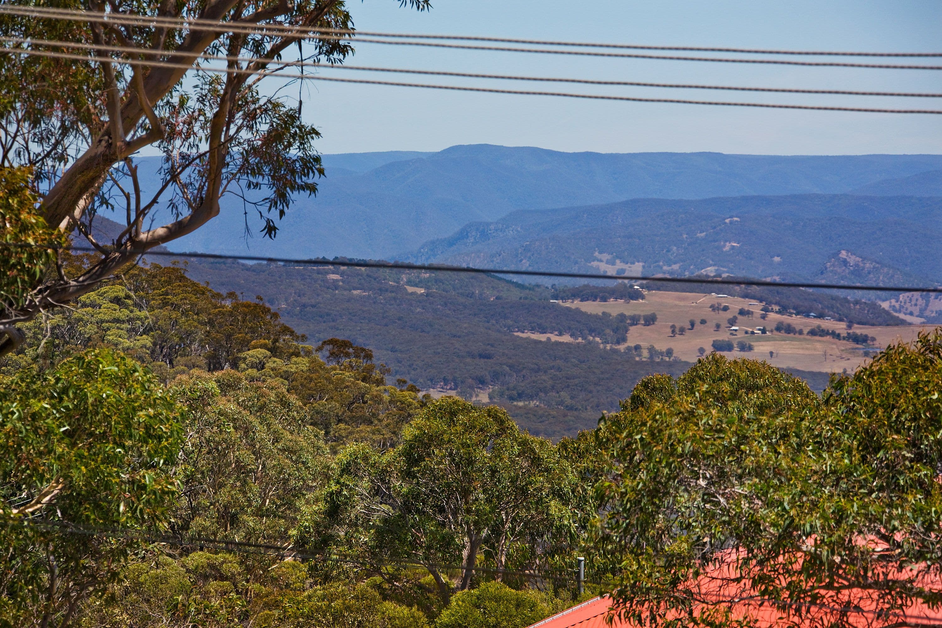 24 Kenny Street, Mount Victoria - Thumbnail 8