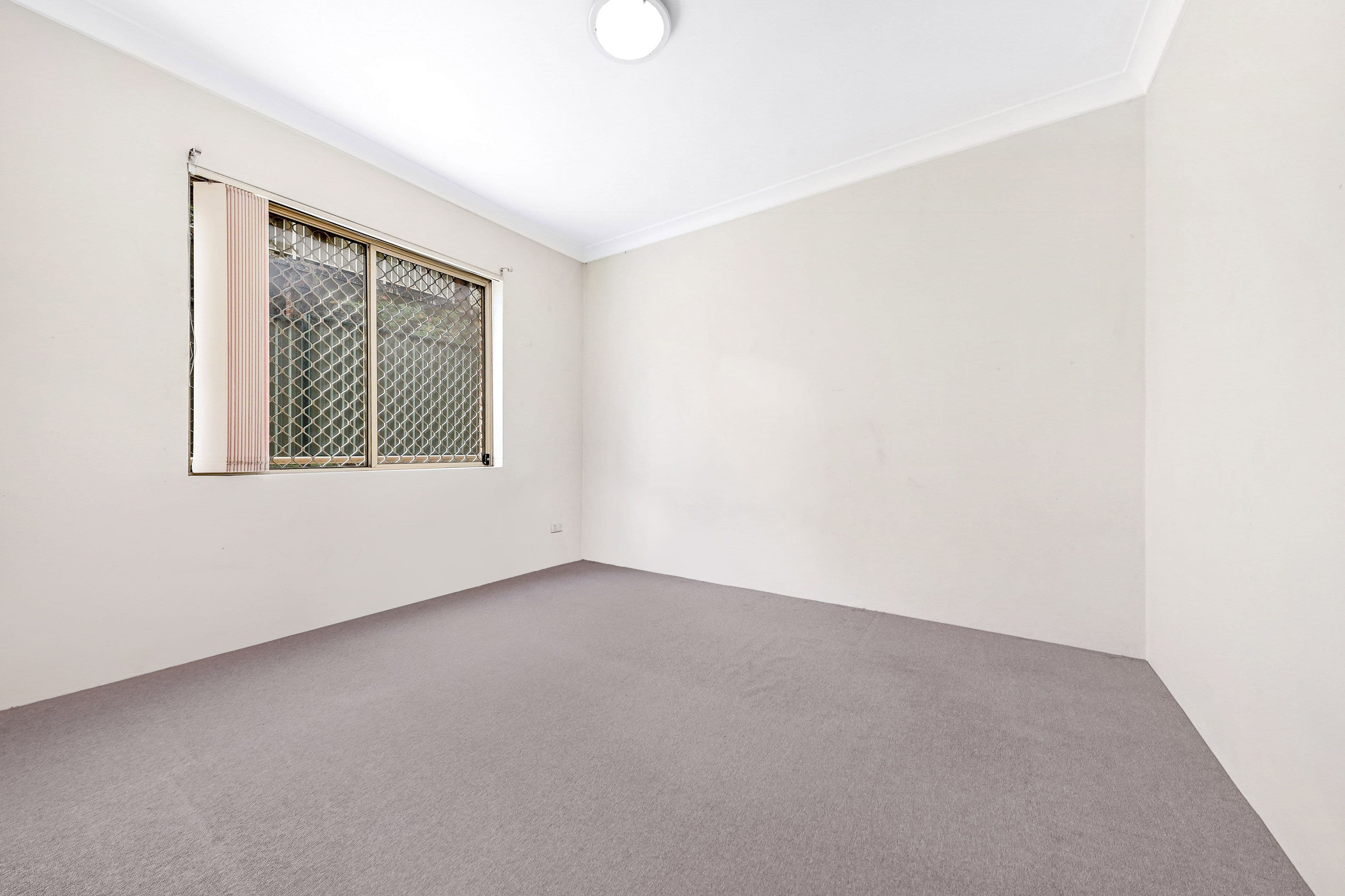 10 Cairns Street, Riverwood NSW 2210, Riverwood - Thumbnail 2