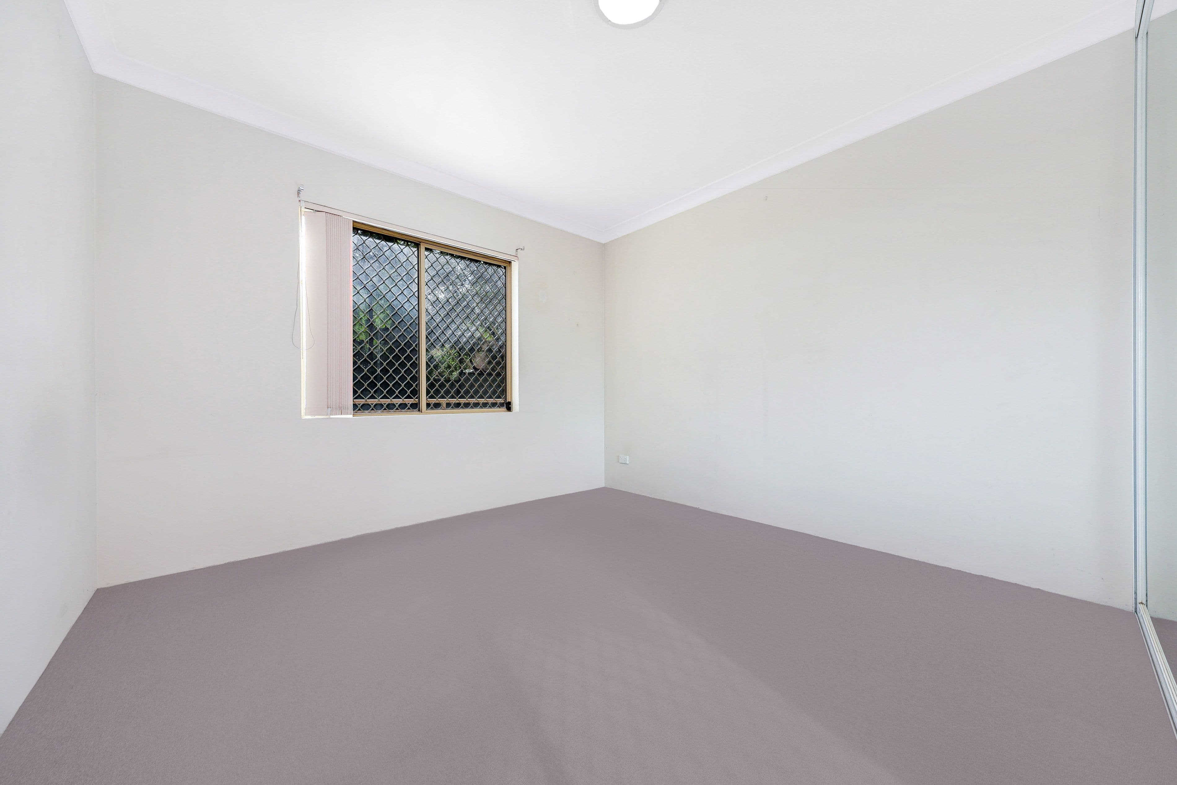 10 Cairns Street, Riverwood NSW 2210, Riverwood - Thumbnail 3