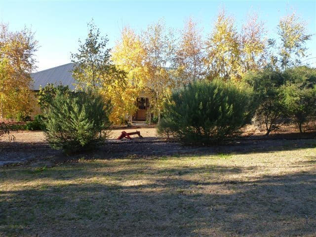 Lot 20 Orient Road, MOUNT BARKER WA 6324, Mount Barker - Thumbnail 2