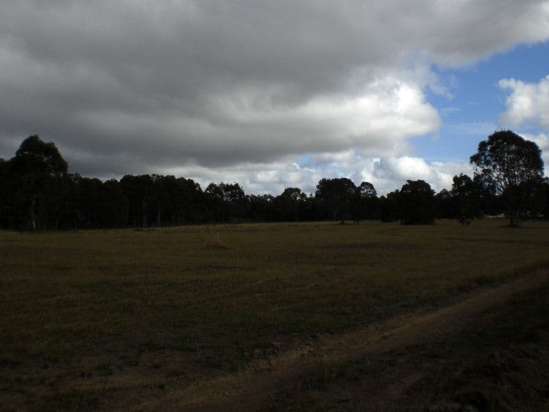 Lot 121 Nutans Crest, WORRIGEE NSW 2540, Worrigee - Image 1
