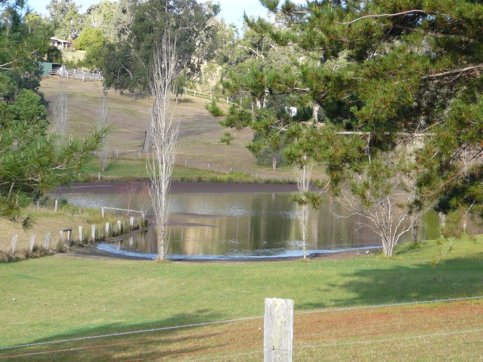 80 Yarragee Road, MORUYA NSW 2537, Moruya - Thumbnail 2