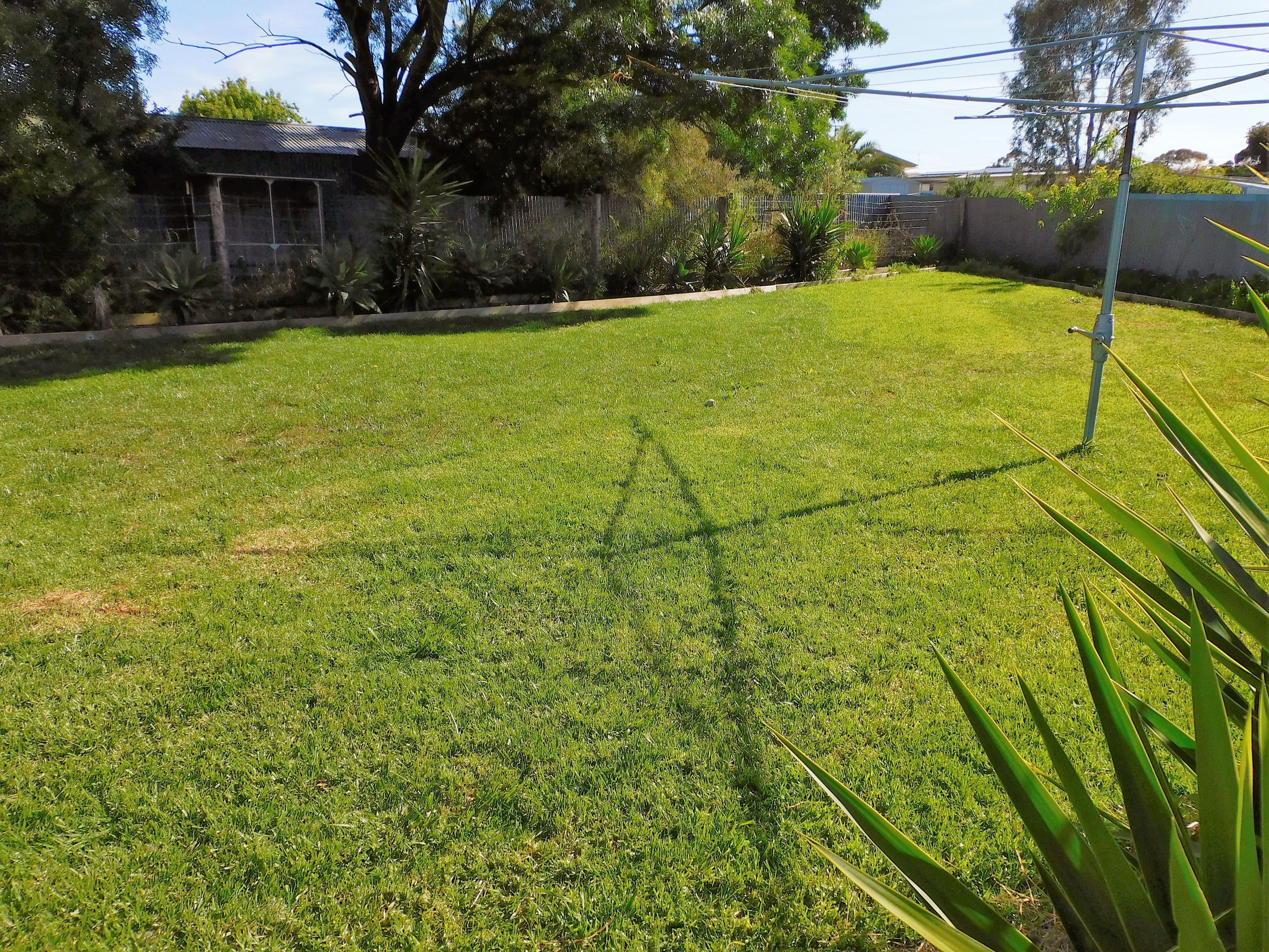 56 Ramsay Terrace, Bordertown SA 5268, Bordertown - Thumbnail 8