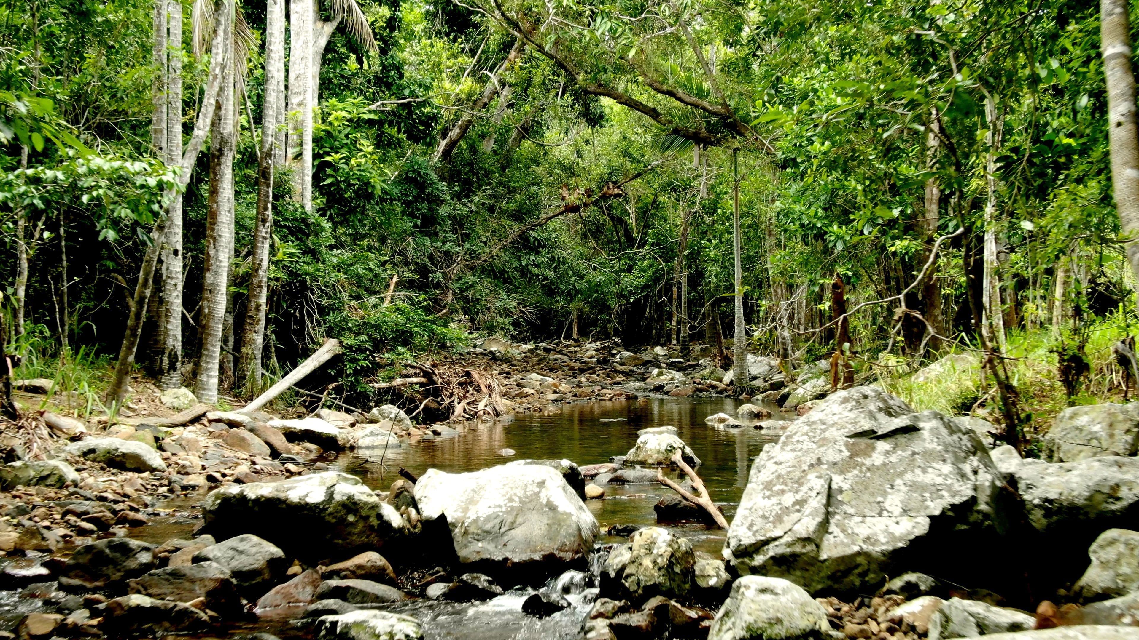 Lot 7 Rifle Range Road, Cannonvale QLD 4802, Cannonvale - Thumbnail 5