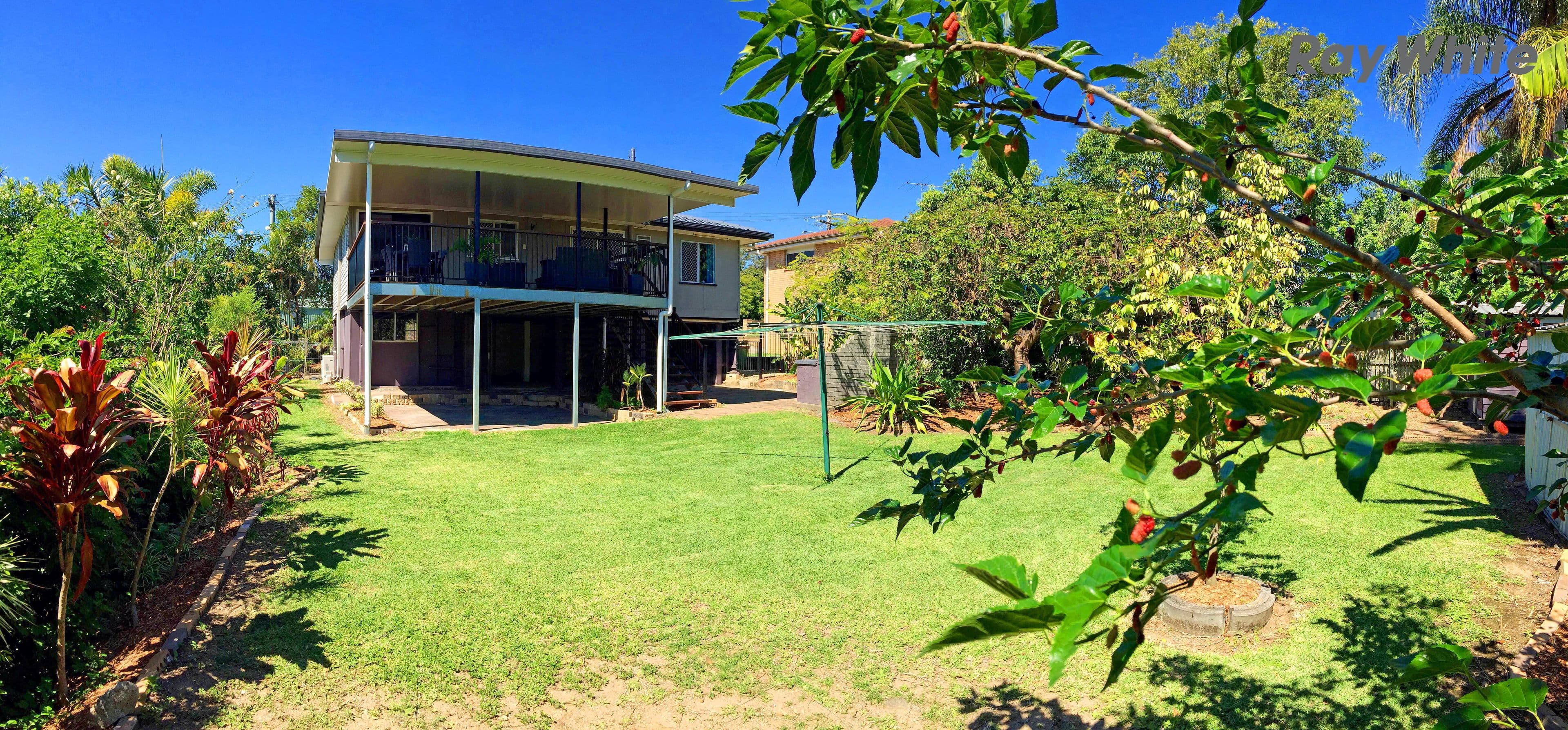 36 Constitution Crescent, Alexandra Hills QLD 4161, Alexandra Hills - Image 1