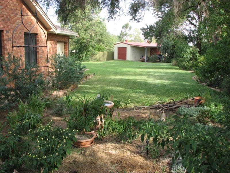 15 Chelsea Crescent, FORBES NSW 2871, Forbes - Thumbnail 3