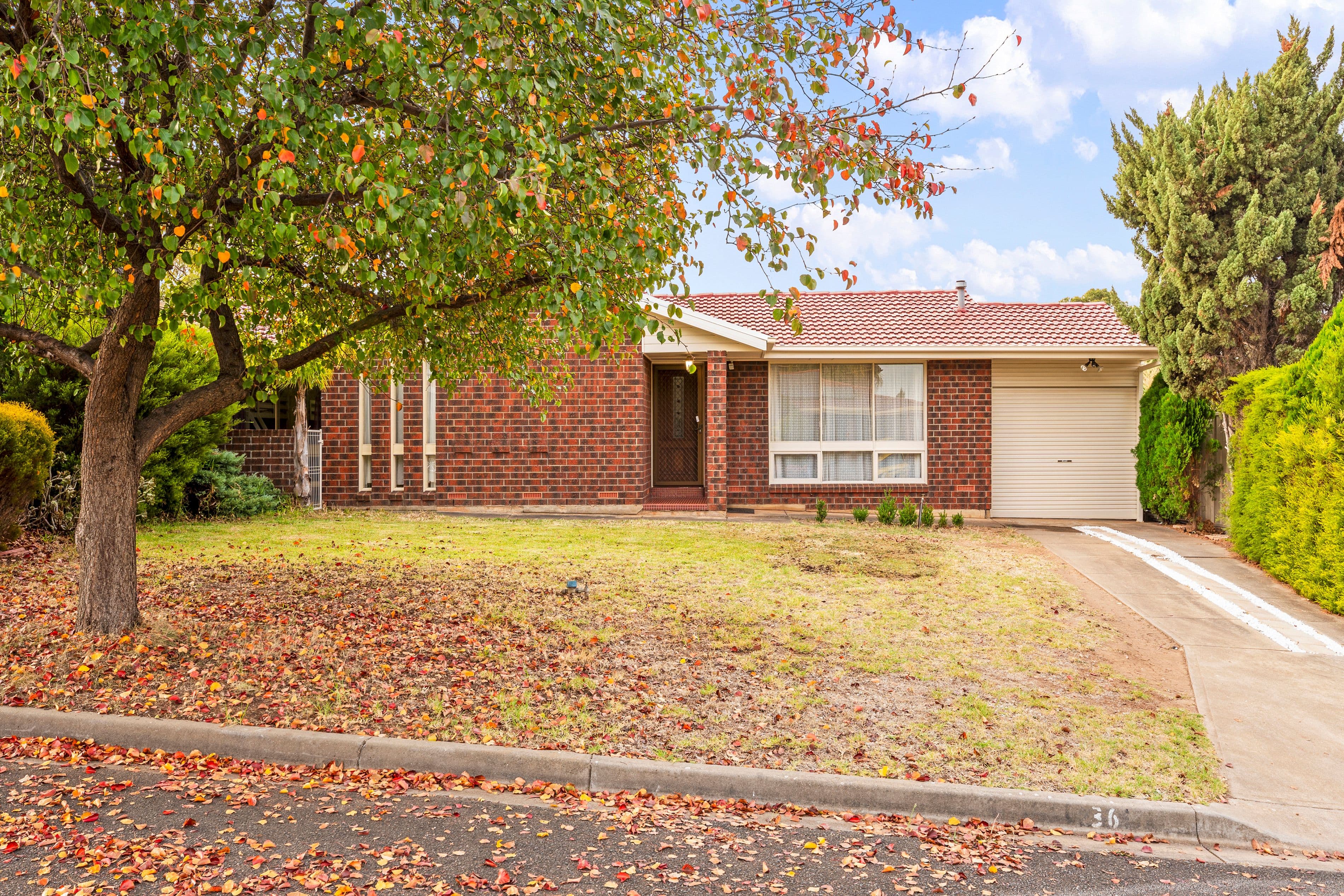 36 Dillon Street, Redwood Park SA 5097, Redwood Park - Image 1