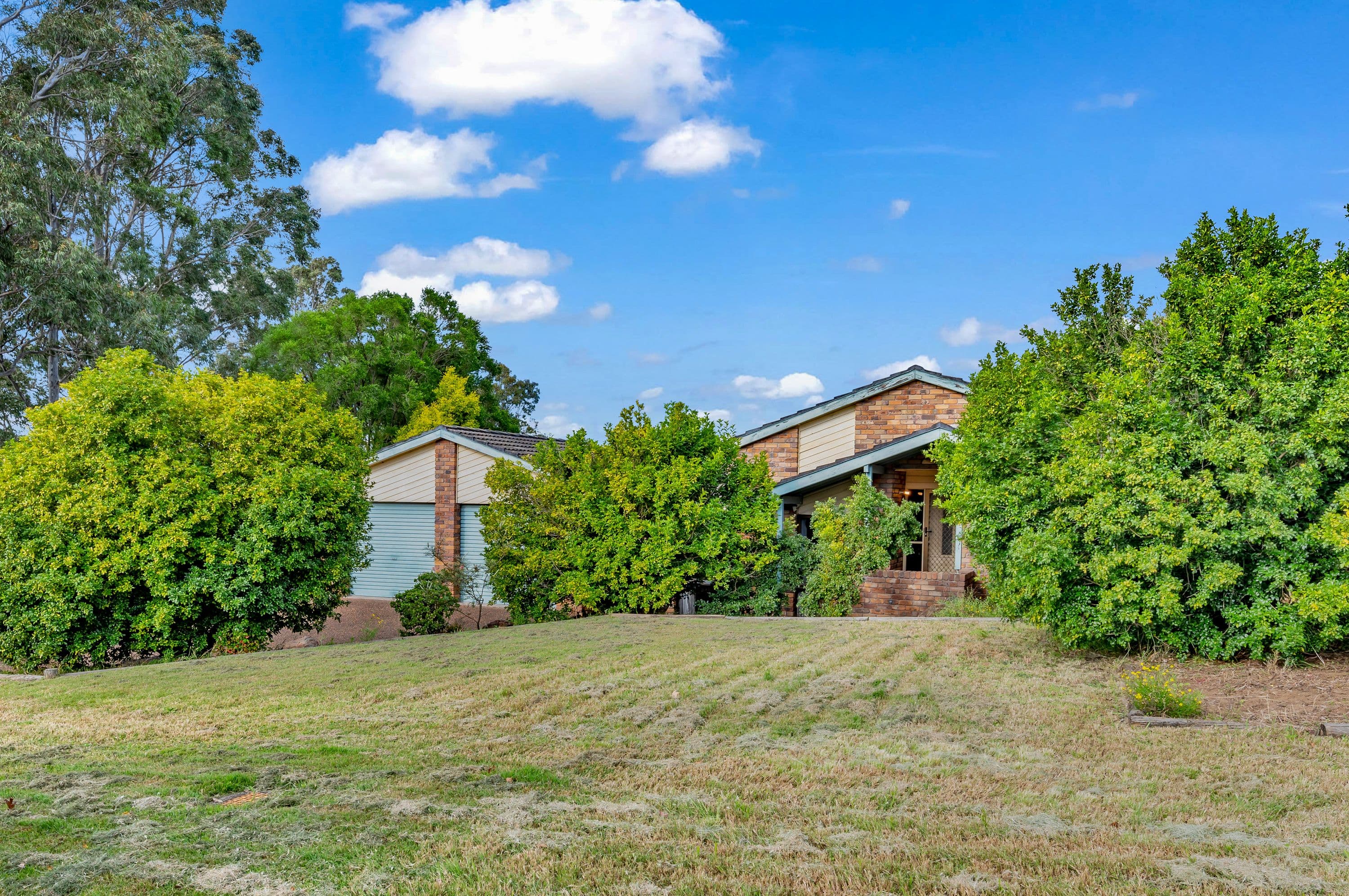 4 D'Arbon Avenue, Singleton Heights NSW 2330, Singleton Heights - Thumbnail 3
