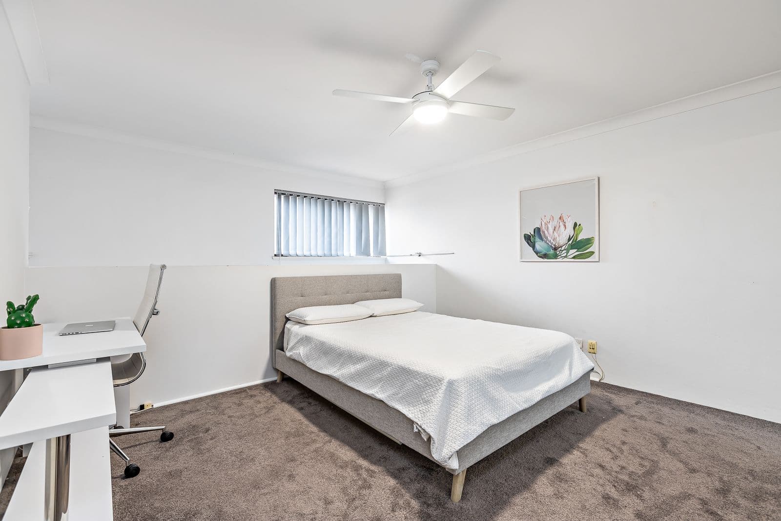 216 Union Street, Merewether NSW 2291, Merewether - Thumbnail 6