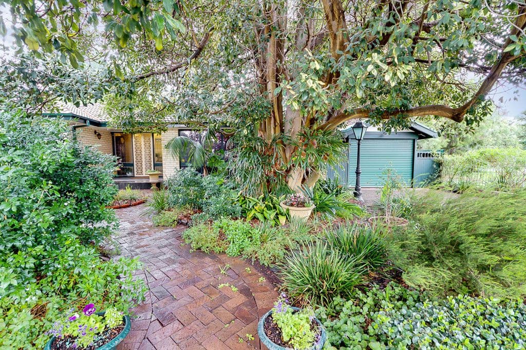 9 Egan Crescent, MITCHELL PARK SA 5043, Mitchell Park - Thumbnail 5