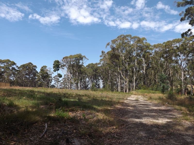 21 Dennison Close, HEYBRIDGE TAS 7316, Heybridge - Thumbnail 2