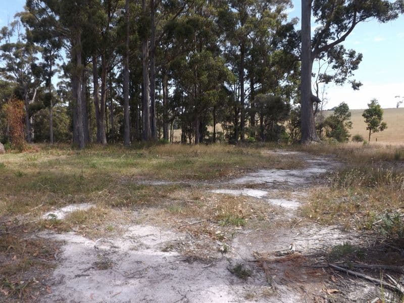 21 Dennison Close, HEYBRIDGE TAS 7316, Heybridge - Thumbnail 3