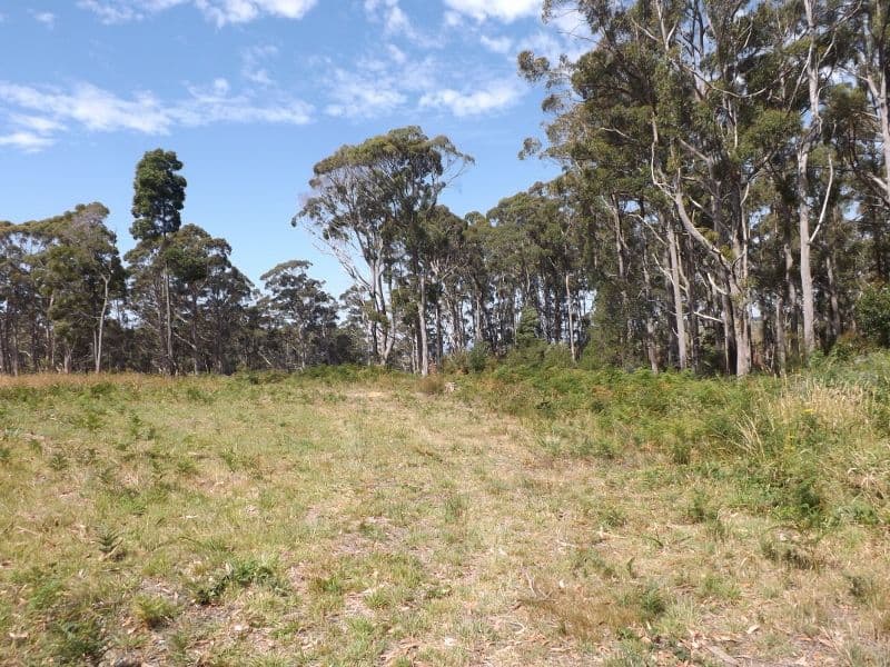 21 Dennison Close, HEYBRIDGE TAS 7316, Heybridge - Thumbnail 4