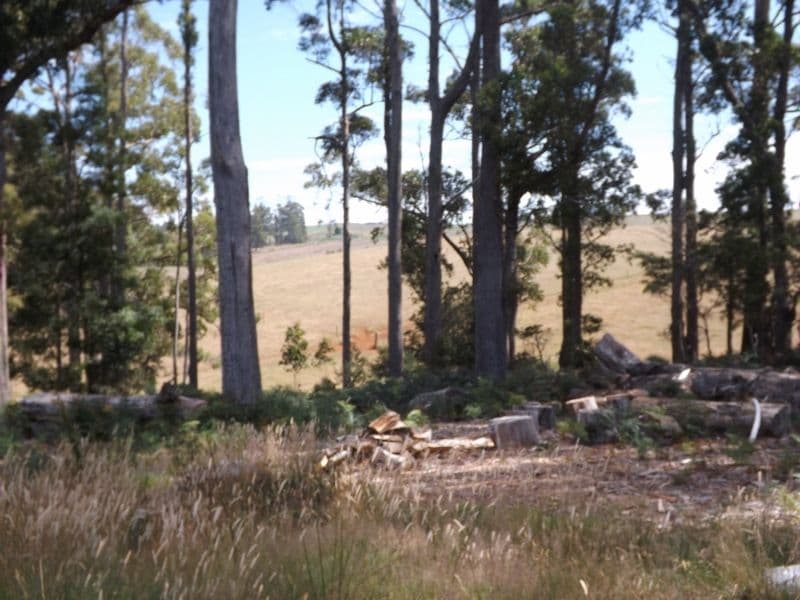 21 Dennison Close, HEYBRIDGE TAS 7316, Heybridge - Thumbnail 7