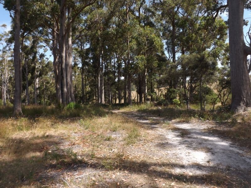 21 Dennison Close, HEYBRIDGE TAS 7316, Heybridge - Thumbnail 8