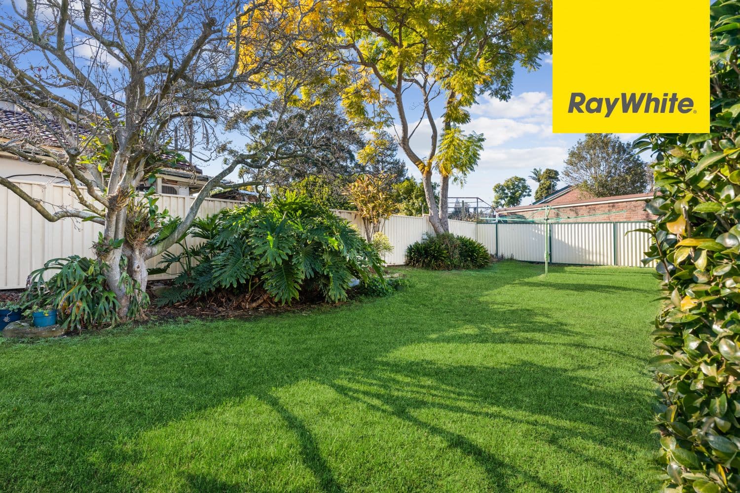 3 Dalton Avenue, Denistone NSW 2114, Denistone - Thumbnail 8