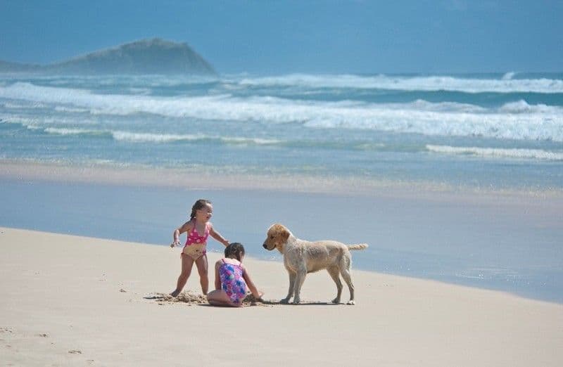 4 Tweed Coast Road, HASTINGS POINT NSW 2489, Hastings Point - Thumbnail 6