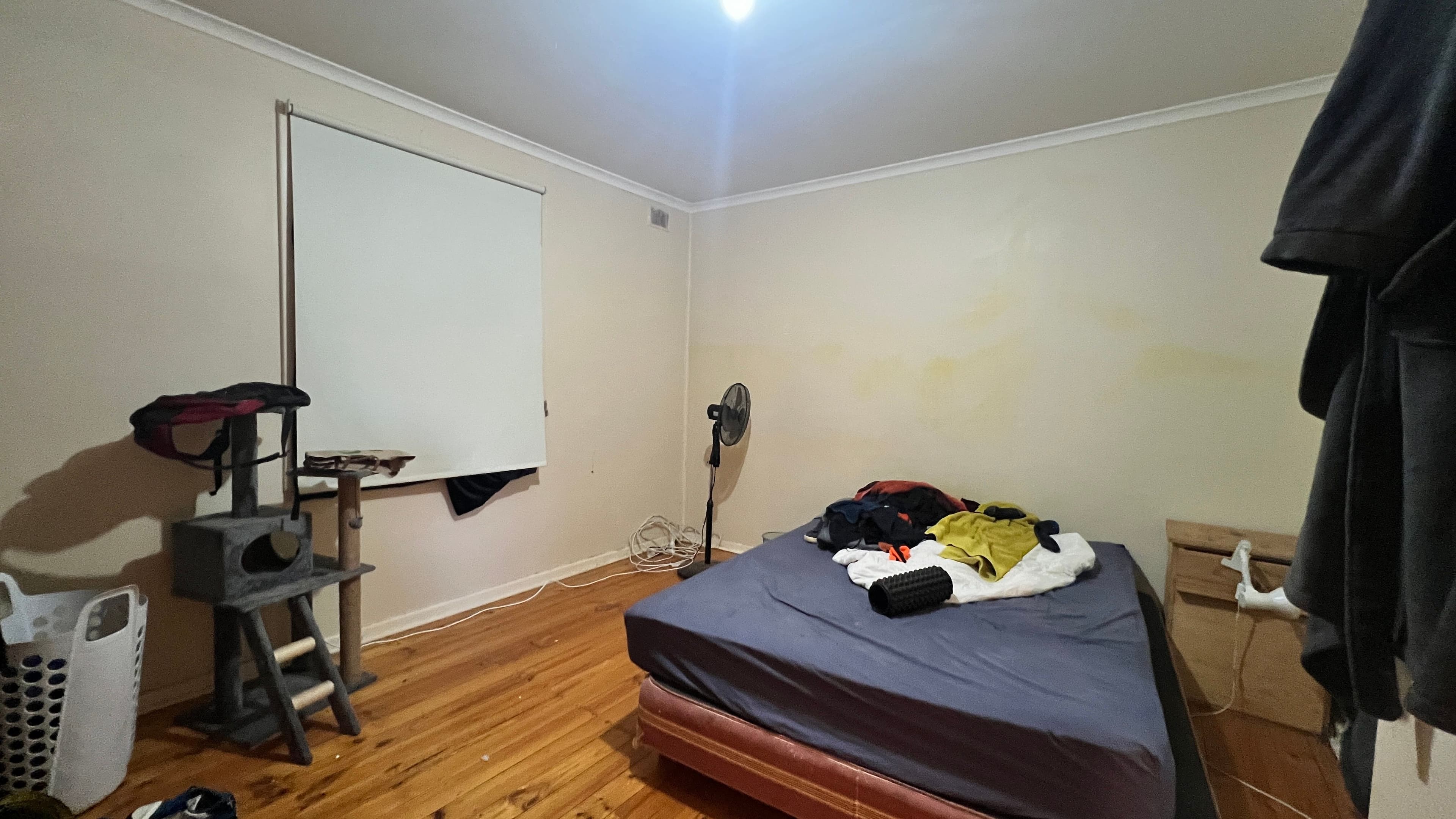 30 Murphy Crescent, Whyalla Stuart SA 5608, Whyalla Stuart - Thumbnail 4