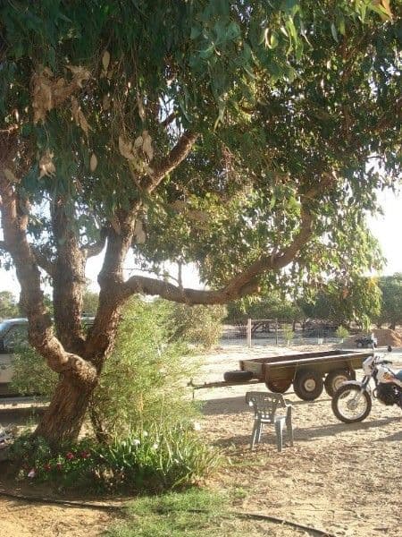 26 Stuart Road, MORESBY WA 6530, Moresby - Thumbnail 4