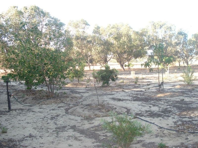 26 Stuart Road, MORESBY WA 6530, Moresby - Thumbnail 5