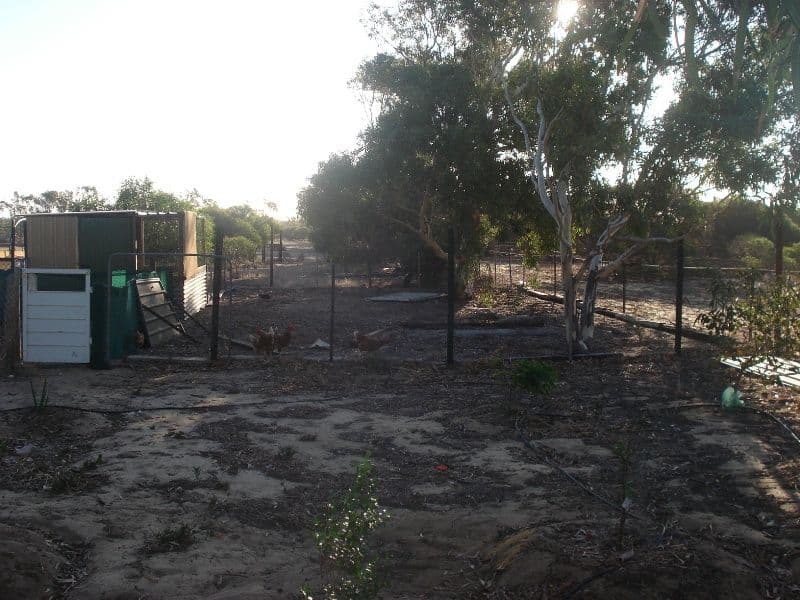 26 Stuart Road, MORESBY WA 6530, Moresby - Thumbnail 8