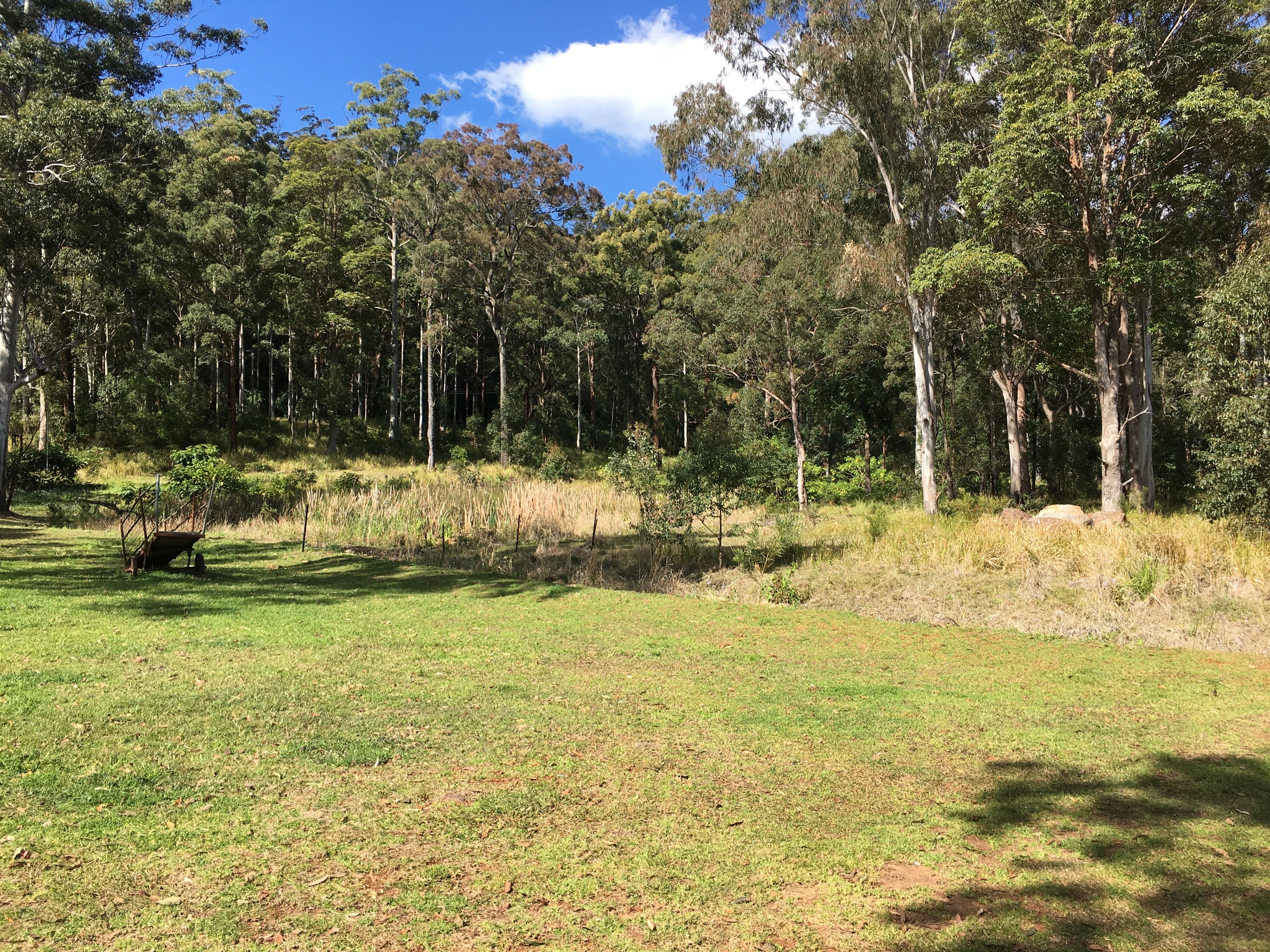905 D Main Western Road, Tamborine Mountain QLD 4272, Tamborine Mountain - Thumbnail 2