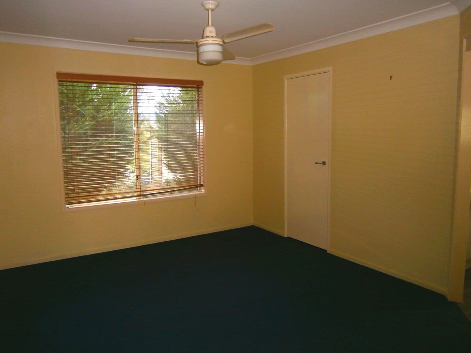 63 Christmas Creek Road, Laravale QLD 4285, Laravale - Thumbnail 8
