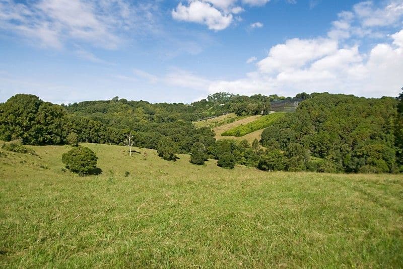 89 Fowlers Lane, BANGALOW NSW 2479, Bangalow - Thumbnail 4