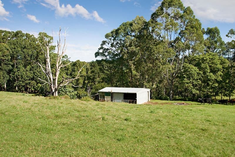 89 Fowlers Lane, BANGALOW NSW 2479, Bangalow - Thumbnail 6