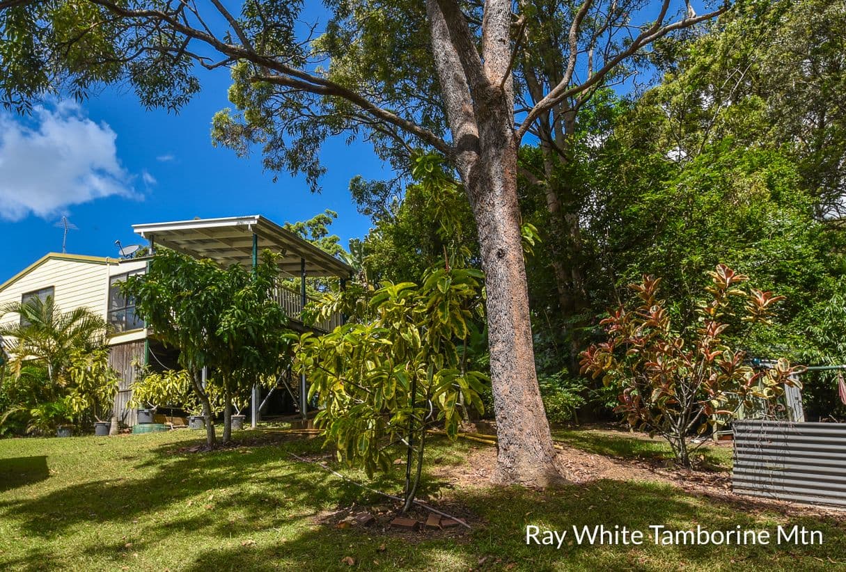 22 Orchis Drive, Tamborine Mountain QLD 4272, Tamborine Mountain - Thumbnail 8