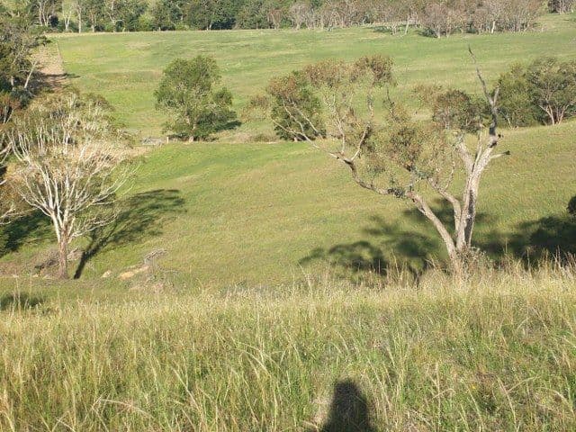 Lot 2 Mutton Falls Road, Bathurst NSW 2795, Bathurst - Thumbnail 5