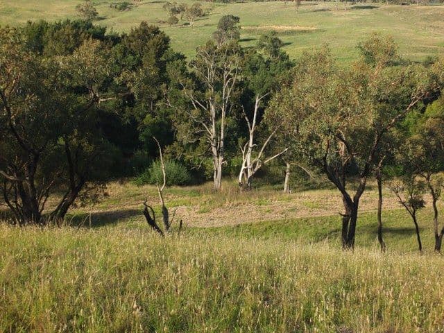 Lot 2 Mutton Falls Road, Bathurst NSW 2795, Bathurst - Thumbnail 7