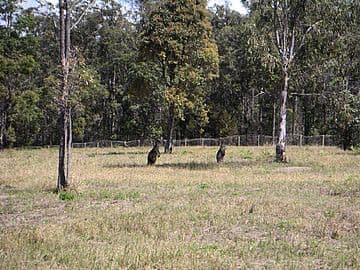 Lot 32 Muscat Circuit, MORAYFIELD QLD 4506, Morayfield - Thumbnail 2