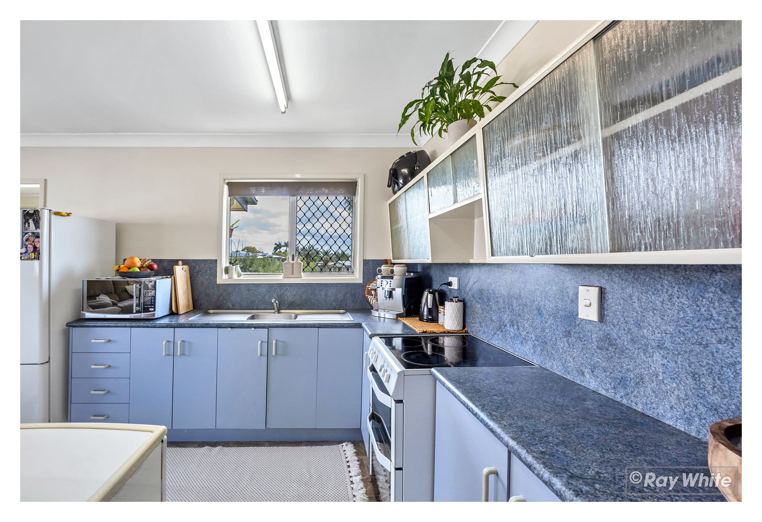 99 Haynes Street, Park Avenue QLD 4701, Park Avenue - Thumbnail 4