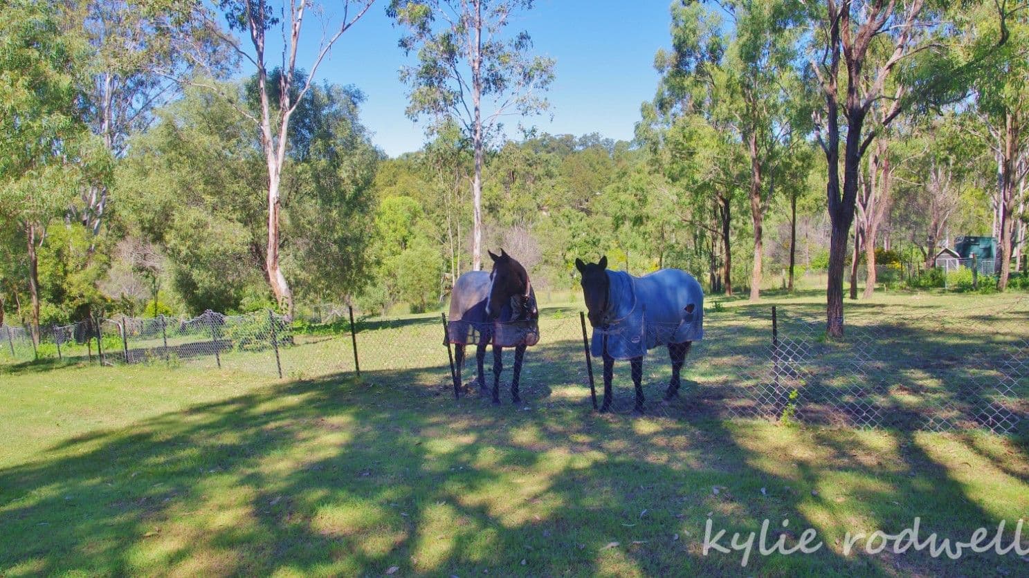 17 Barker Place, Kooralbyn QLD 4285, Kooralbyn - Thumbnail 2