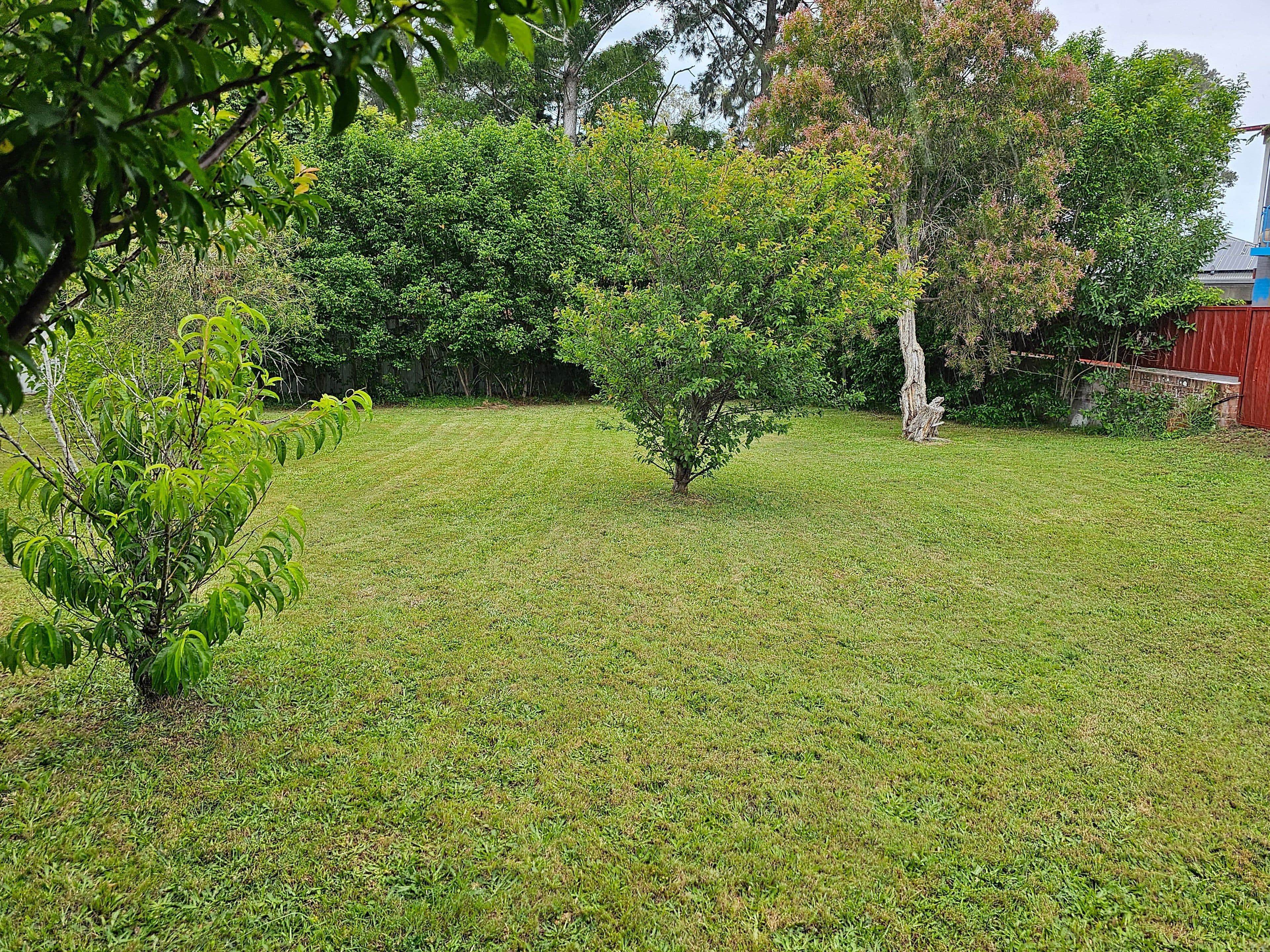 6 Crescent Avenue, Taree NSW 2430, Taree - Thumbnail 7