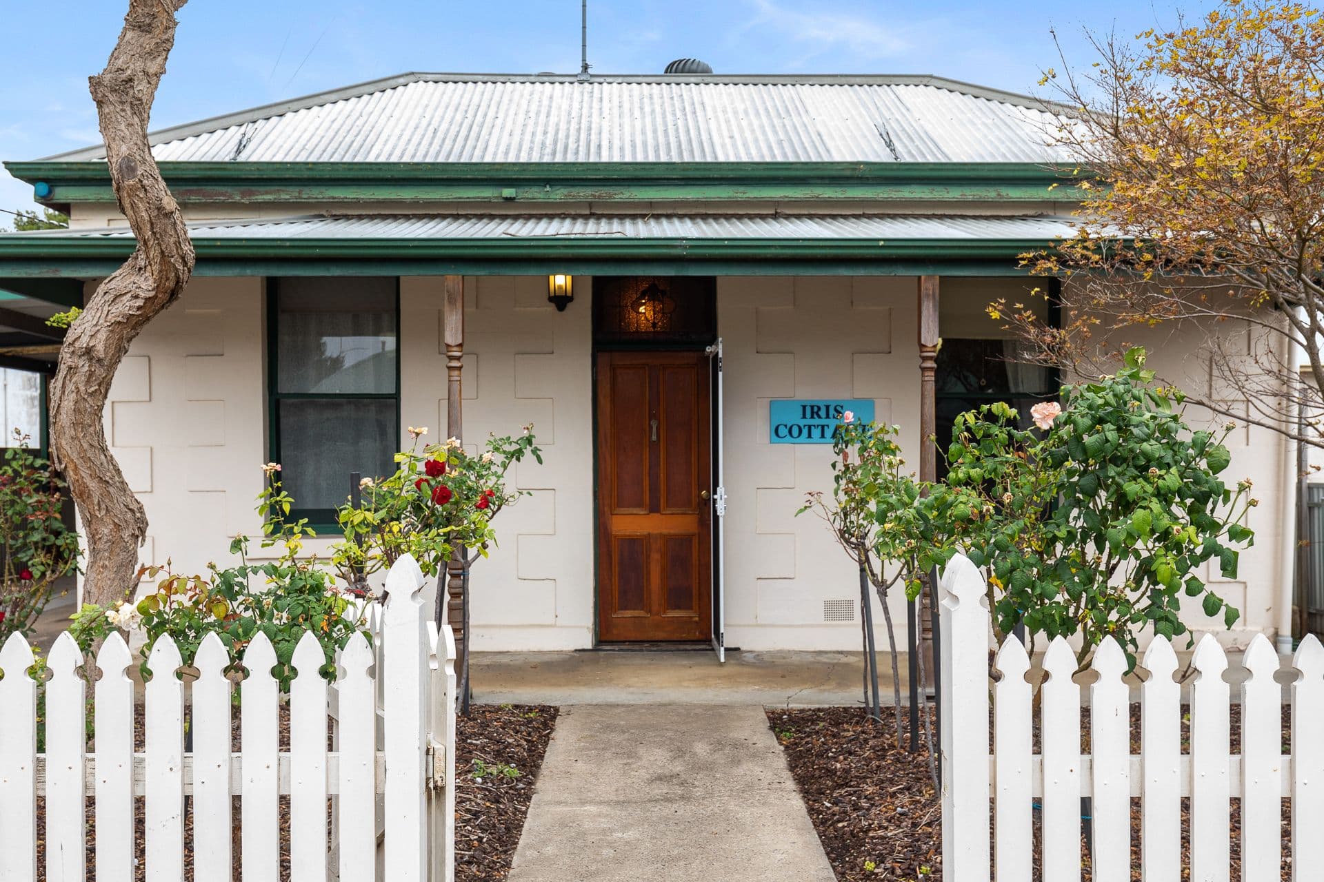9 Edward Street, Mount Gambier SA 5290, Mount Gambier - Image 1