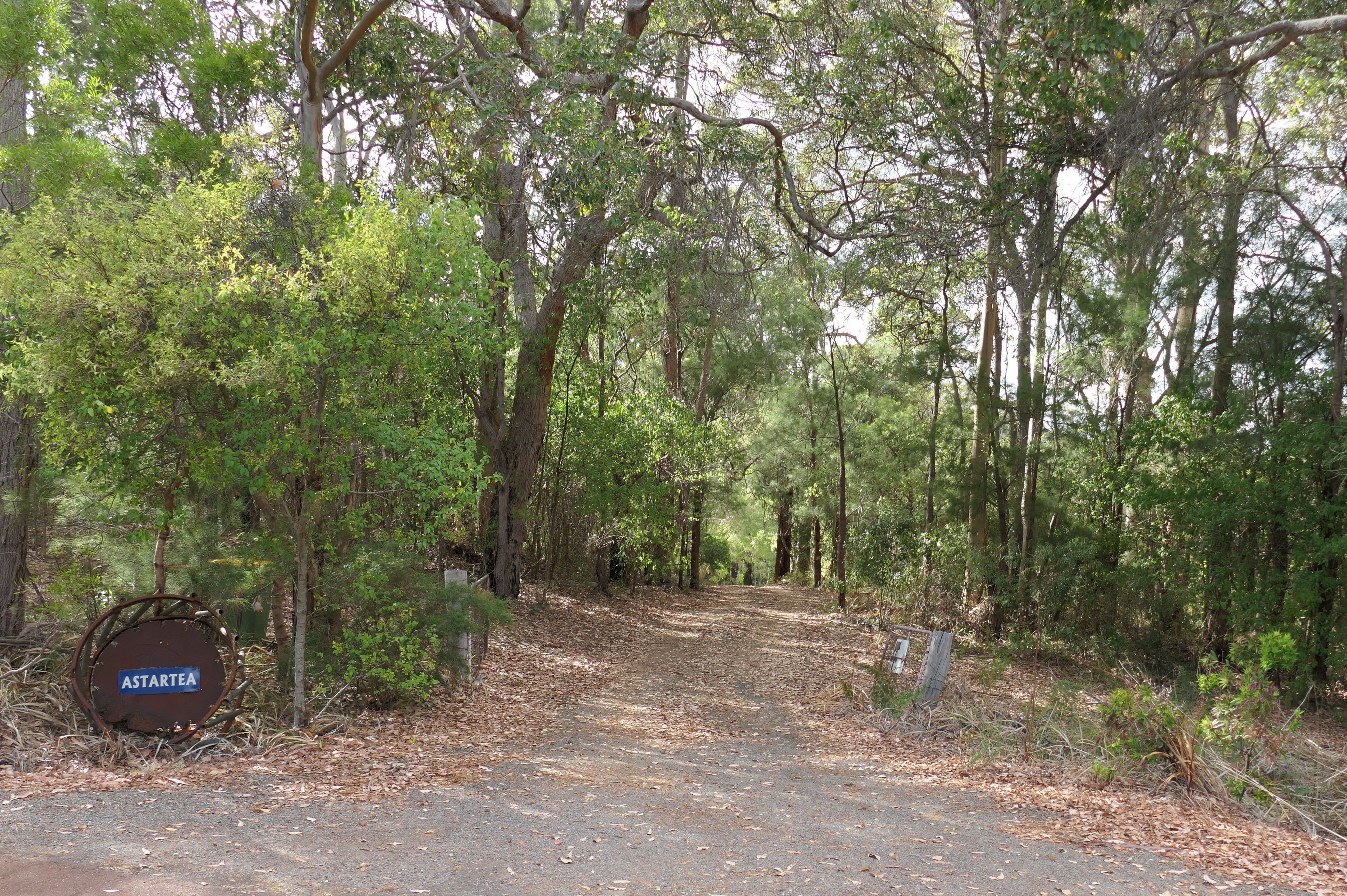 122 Scotsdale Road, Denmark WA 6333, Denmark - Thumbnail 2