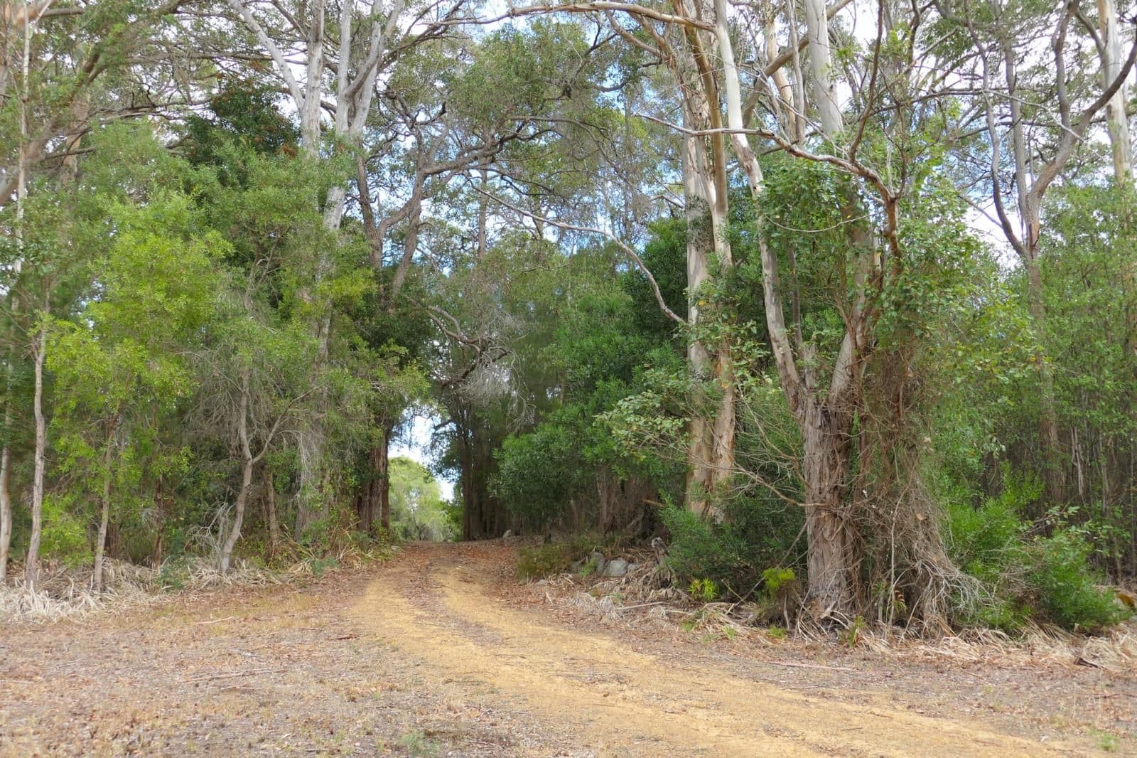 122 Scotsdale Road, Denmark WA 6333, Denmark - Thumbnail 3