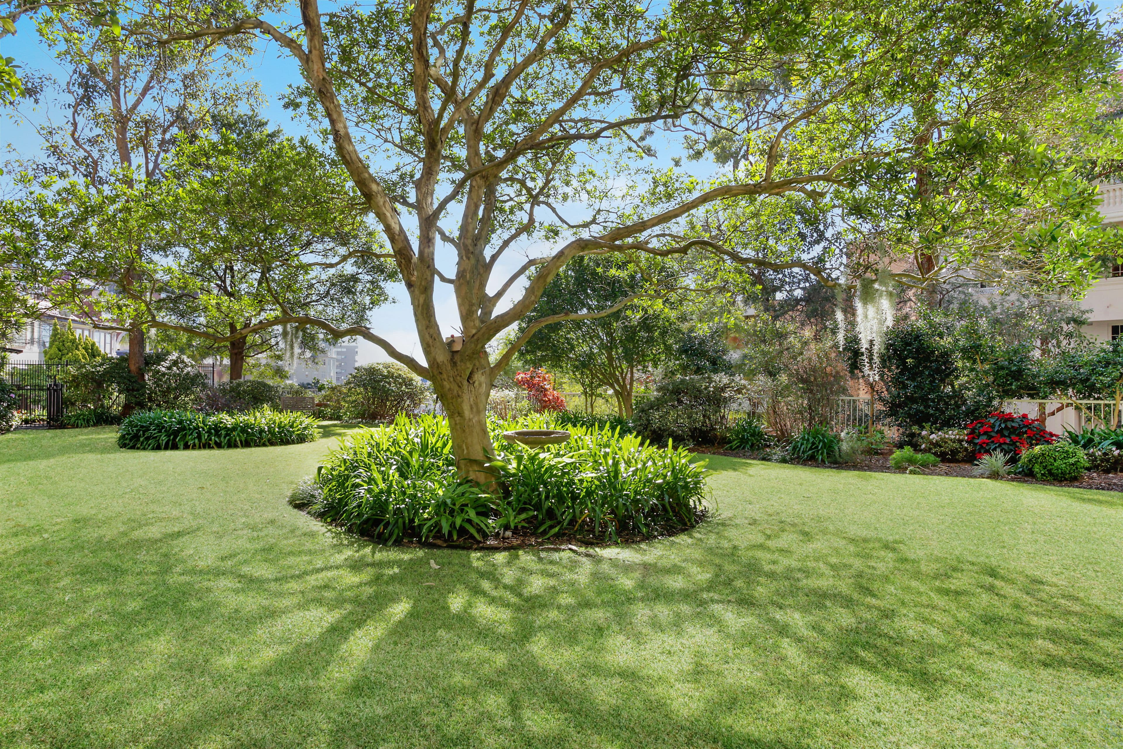 15 Mako Avenue, Birkdale QLD 4159, Birkdale - Thumbnail 3