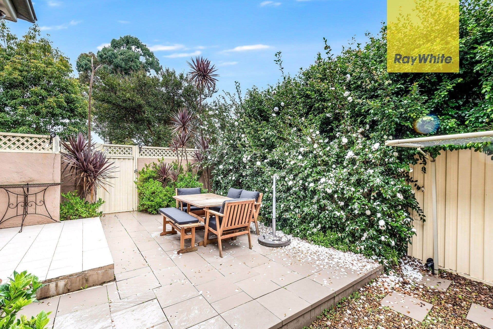 27-31 Windermere Avenue, Northmead NSW 2152, Northmead - Thumbnail 8
