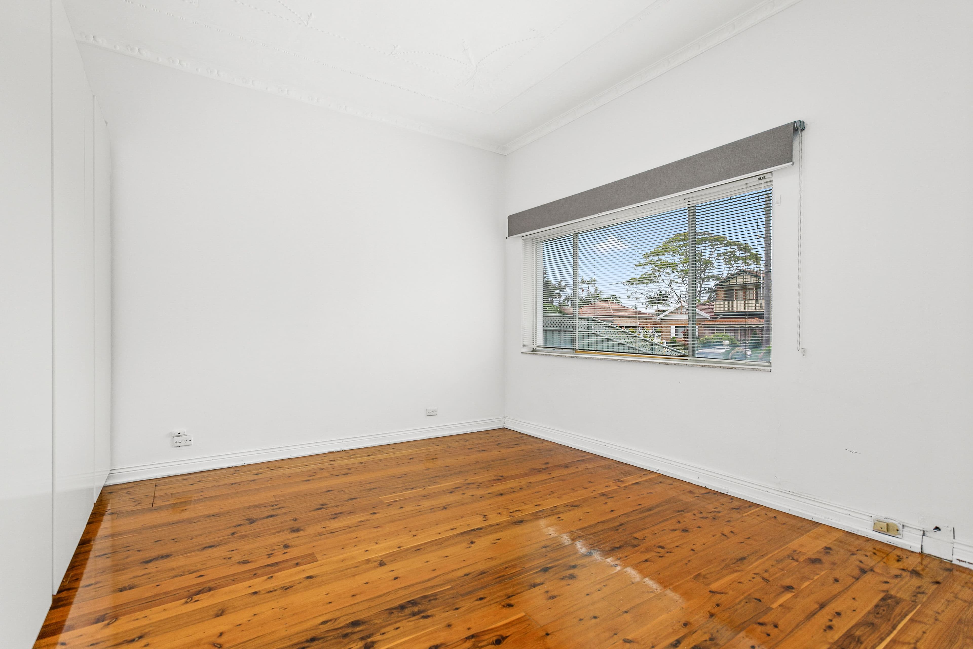 72 Illawarra Street, Allawah NSW 2218, Allawah - Thumbnail 5