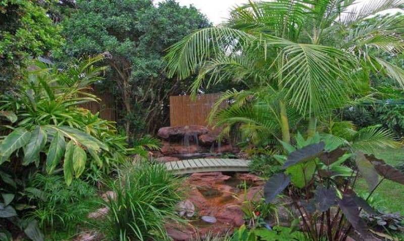 14  Goble Street, HENDRA QLD 4011, Hendra - Thumbnail 5