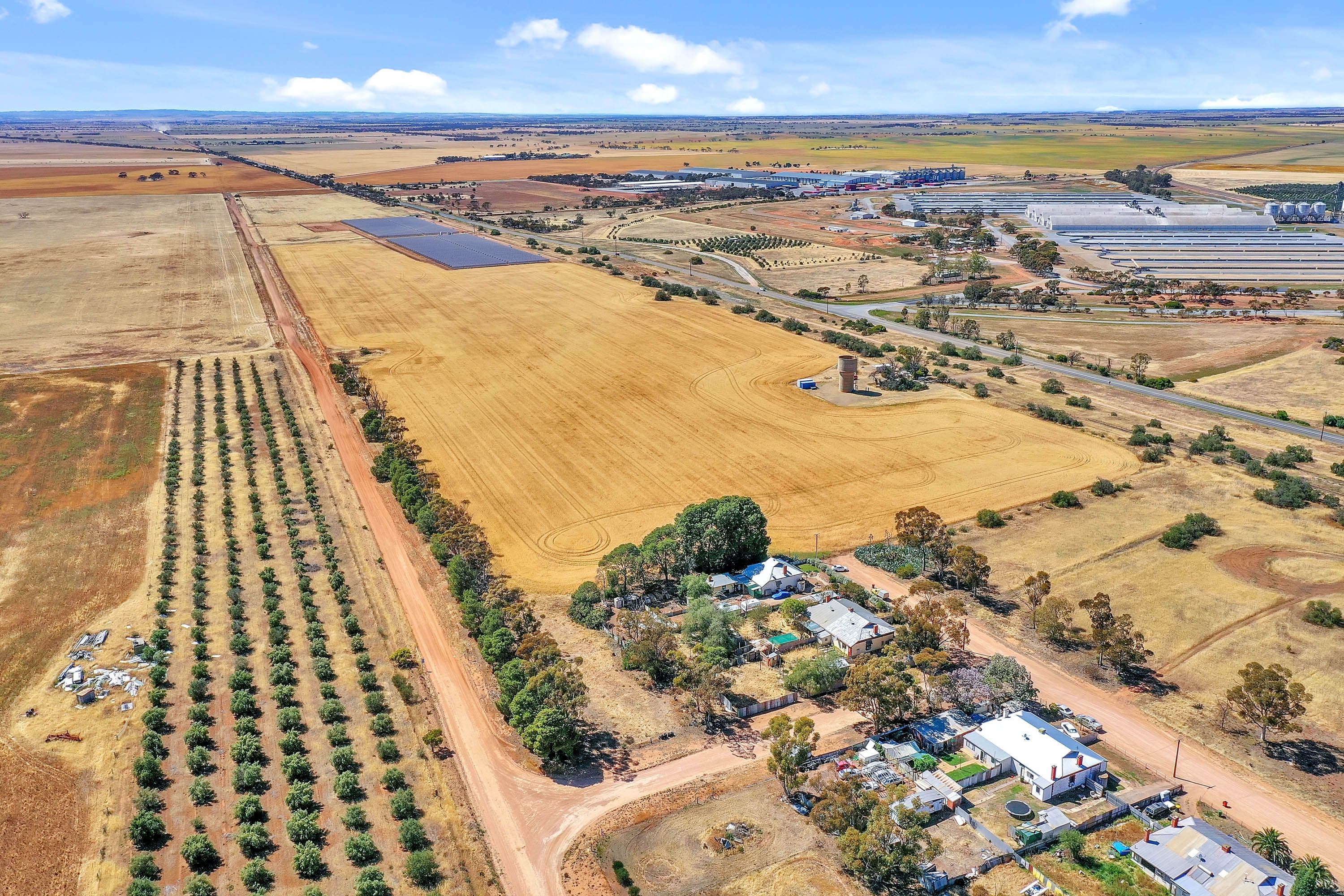 Lot 200 Branch Hill Road, Bowmans SA 5550, Bowmans - Thumbnail 3