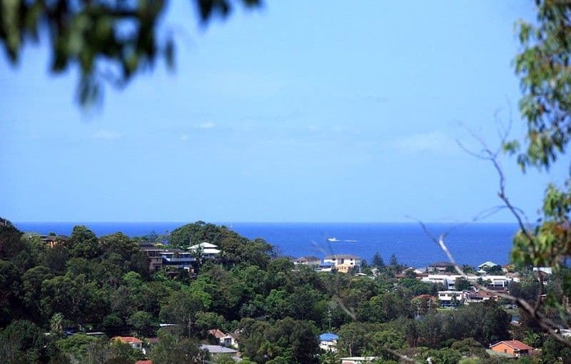 42A Weeroona Avenue, ELANORA HEIGHTS NSW 2101, Elanora Heights - Thumbnail 4