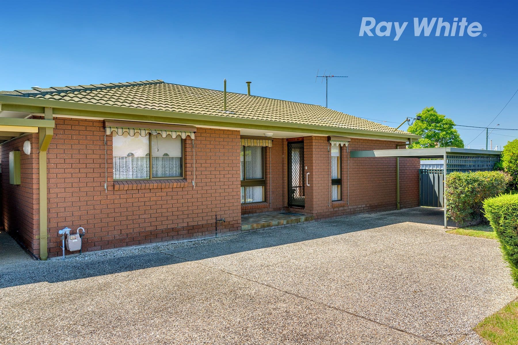 356 Parnall Street, Lavington - Image 1