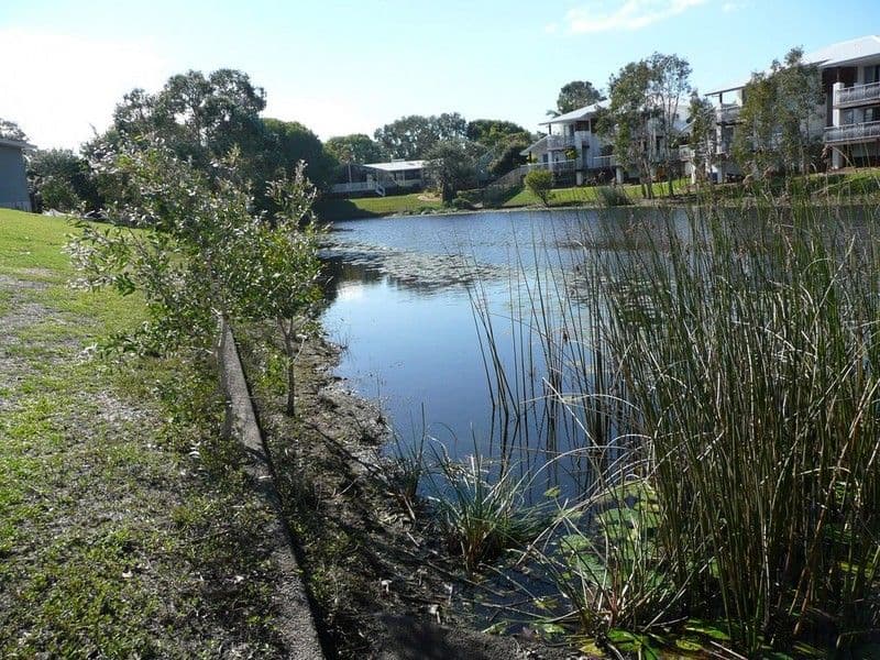 39 Reef Water Circuit, CABARITA BEACH NSW 2488, Cabarita Beach - Thumbnail 4