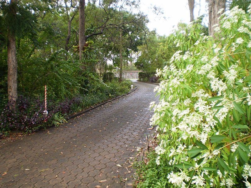 15 Forestdale Drive, FORESTDALE QLD 4118, Forestdale - Thumbnail 3