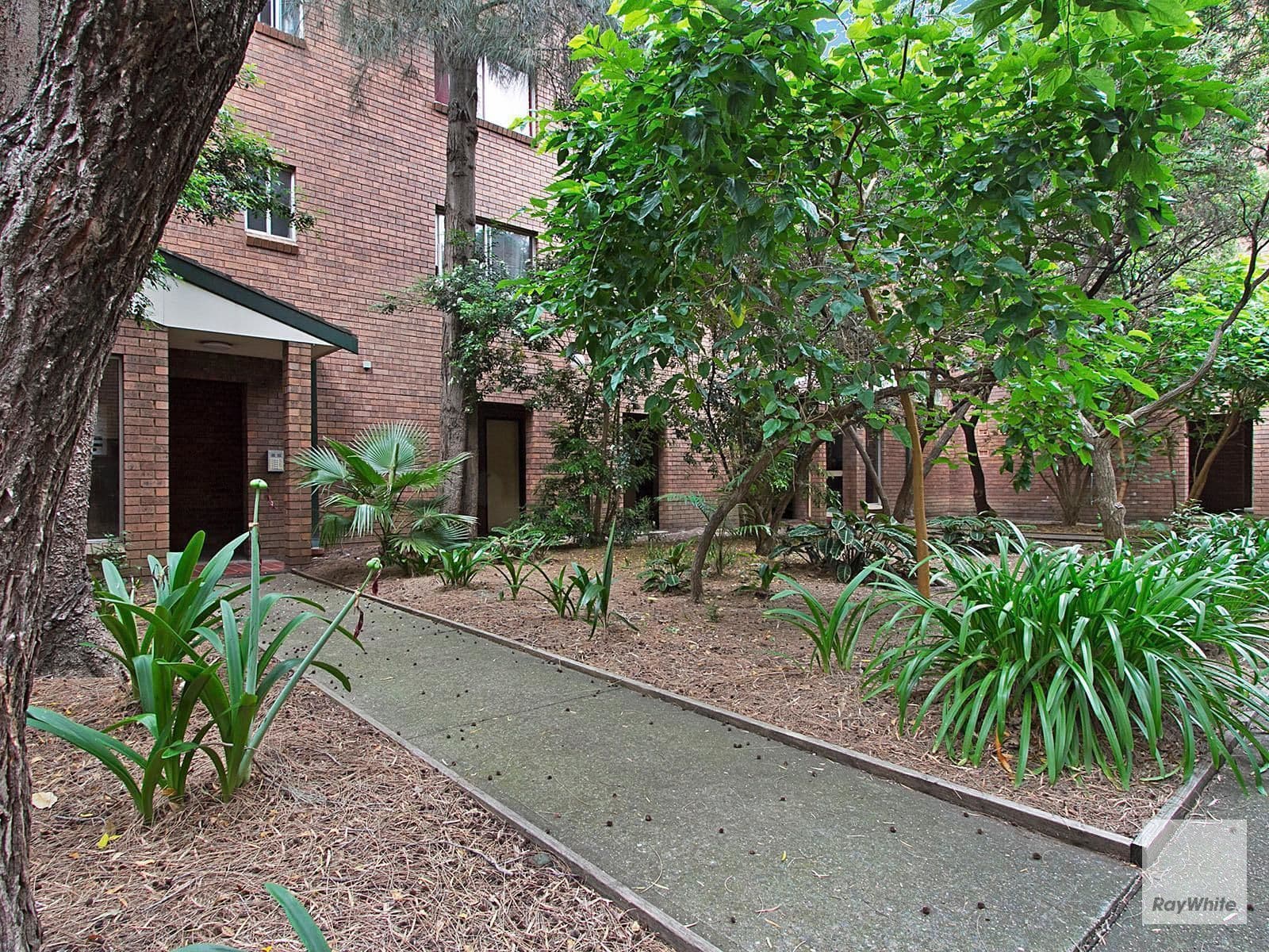 11A Betts Street, Parramatta NSW 2150, Parramatta - Thumbnail 7