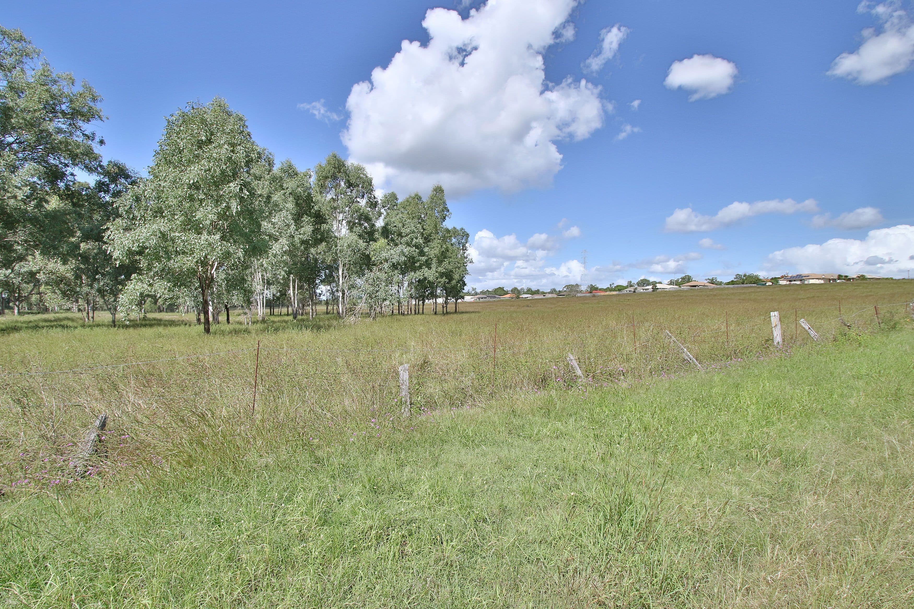 57 Nelson Street, Bundamba QLD 4304, Bundamba - Thumbnail 3